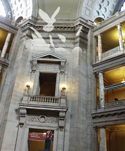 Smithsonian Natural History Museum Rotunda